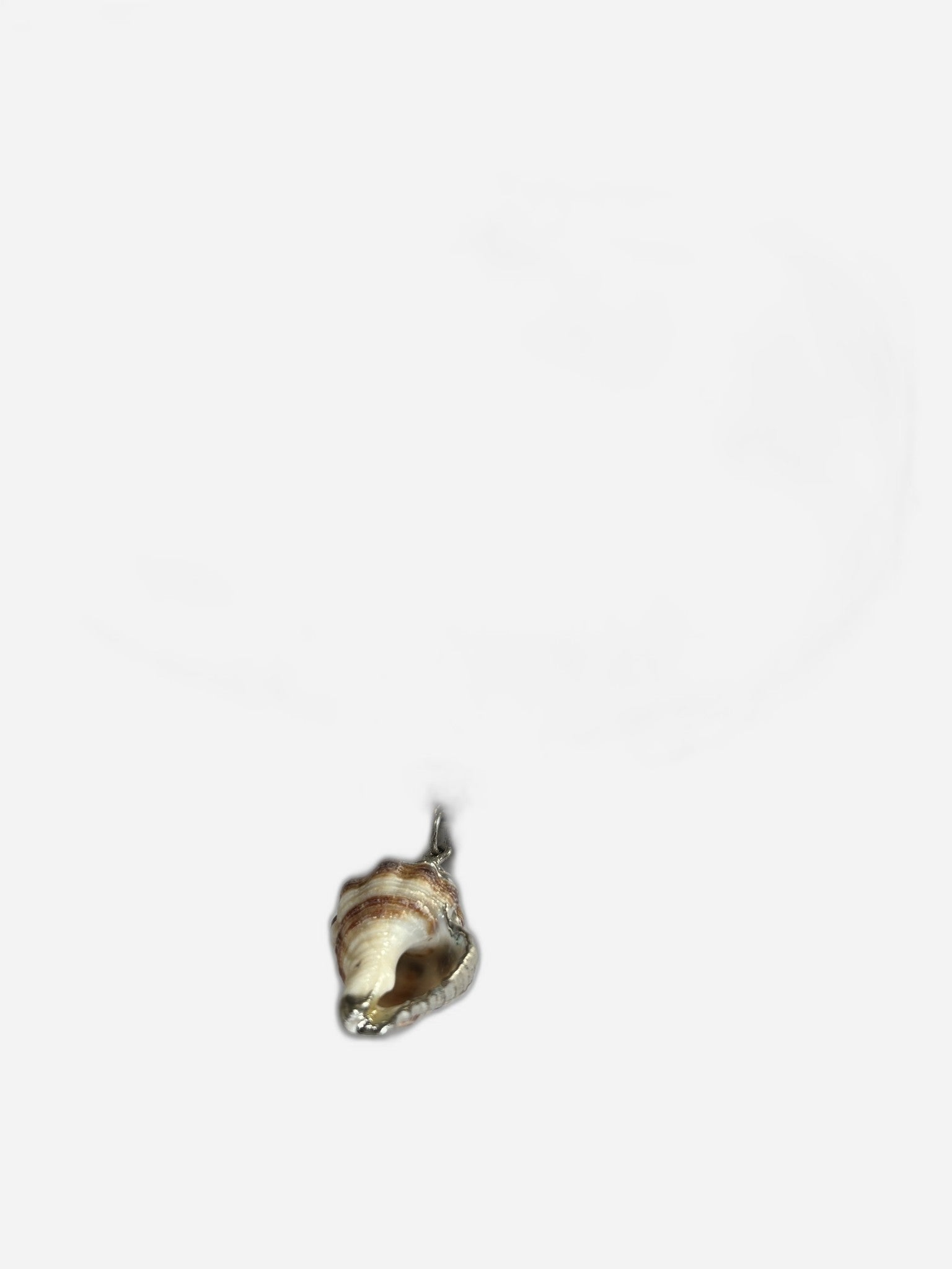 Collana Sughero Conchiglia